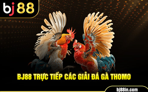 BJ88 đá gà Thomo